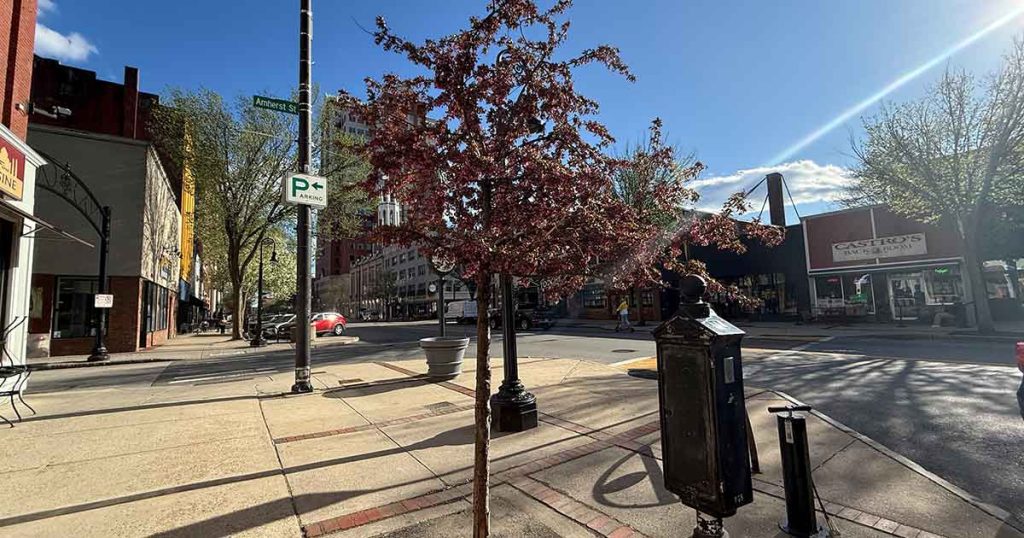 A small tree with red leaves stands on a sunny city sidewalk. Buildings, street signs, parked cars, and a parking meter are visible. The sky is mostly clear with a few clouds and bright sunlight.